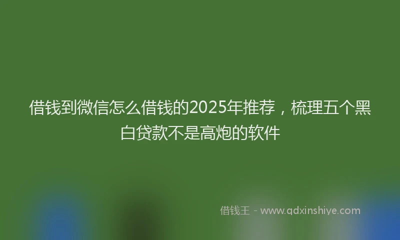 借钱到微信怎么借钱的2025年推荐,梳理五个黑白贷款不是高炮的软件