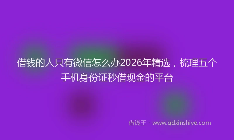借钱的人只有微信怎么办2026年精选，梳理五个手机身份证秒借现金的平台