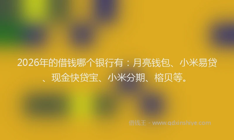 2026年的借钱哪个银行有:月亮钱包、小米易贷、现金快贷宝、小米分期、榕贝等。