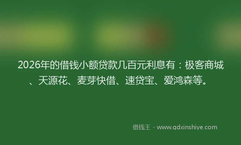 2026年的借钱小额贷款几百元利息有:极客商城、天源花、麦芽快借、速贷宝、爱鸿森等。