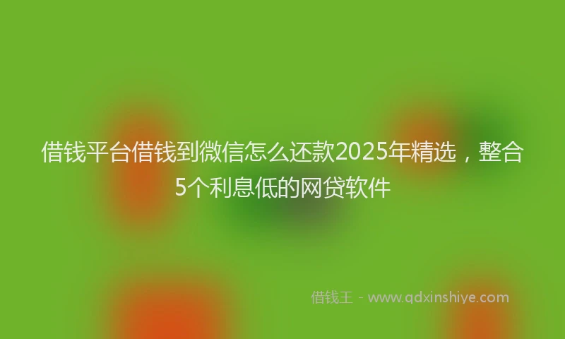 借钱平台借钱到微信怎么还款2025年精选,整合5个利息低的网贷软件