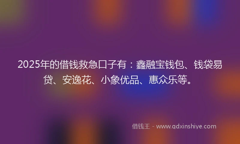 2025年的借钱救急口子有：鑫融宝钱包、钱袋易贷、安逸花、小象优品、惠众乐等。
