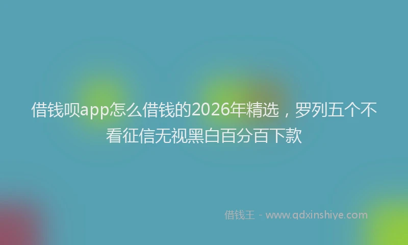 借钱呗app怎么借钱的2026年精选，罗列五个不看征信无视黑白百分百下款