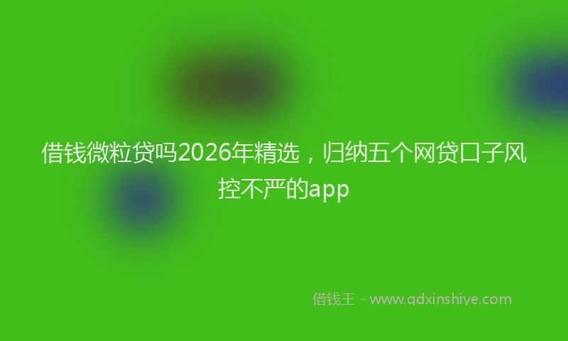 借钱微粒贷吗2026年精选，归纳五个网贷口子风控不严的app