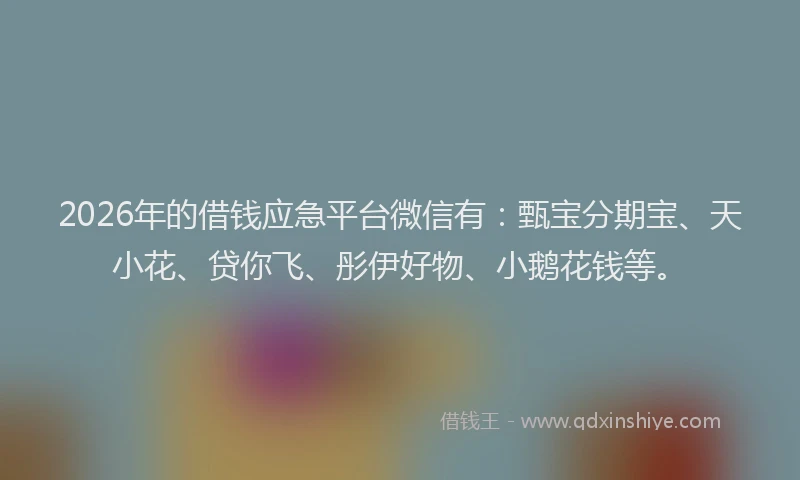 2026年的借钱应急平台微信有：甄宝分期宝、天小花、贷你飞、彤伊好物、小鹅花钱等。