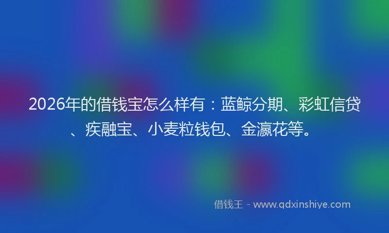 2026年的借钱宝怎么样有：蓝鲸分期、彩虹信贷、疾融宝、小麦粒钱包、金瀛花等。