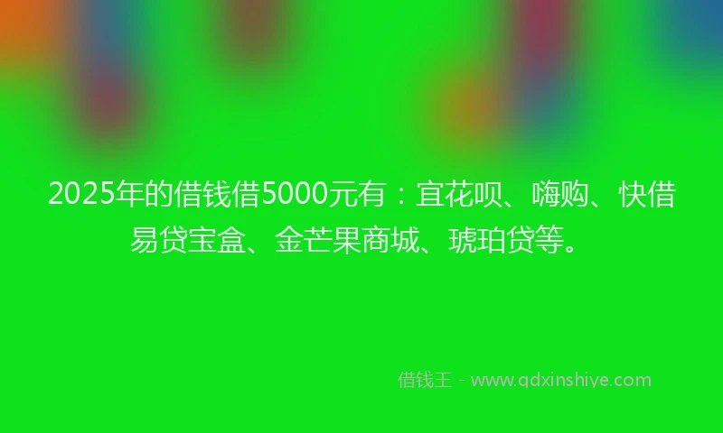 2025年的借钱借5000元有：宜花呗、嗨购、快借易贷宝盒、金芒果商城、琥珀贷等。