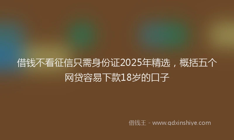 借钱不看征信只需身份证2025年精选，概括五个网贷容易下款18岁的口子