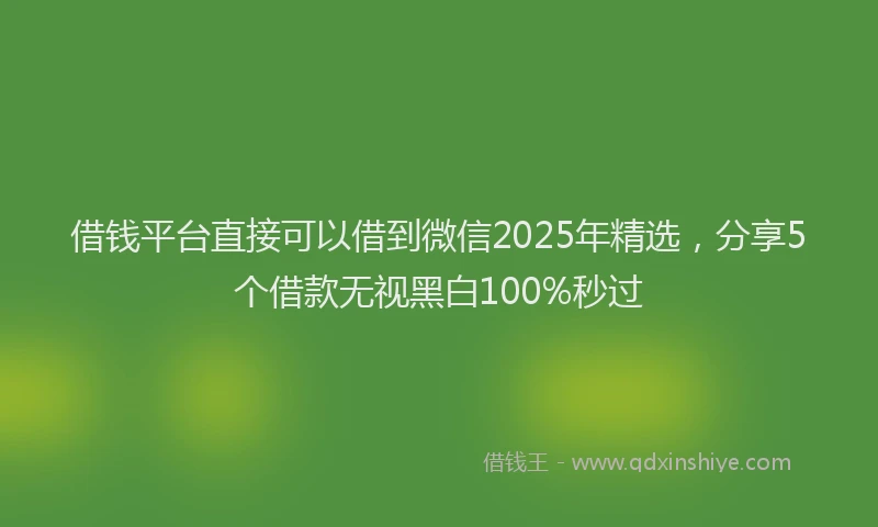 借钱平台直接可以借到微信2025年精选，分享5个借款无视黑白100%秒过
