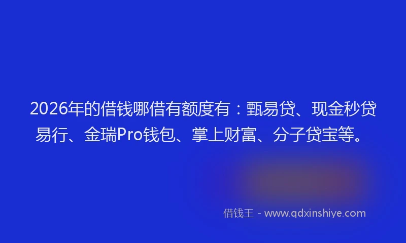 2026年的借钱哪借有额度有：甄易贷、现金秒贷易行、金瑞Pro钱包、掌上财富、分子贷宝等。