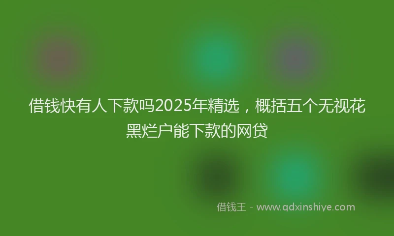 借钱快有人下款吗2025年精选，概括五个无视花黑烂户能下款的网贷