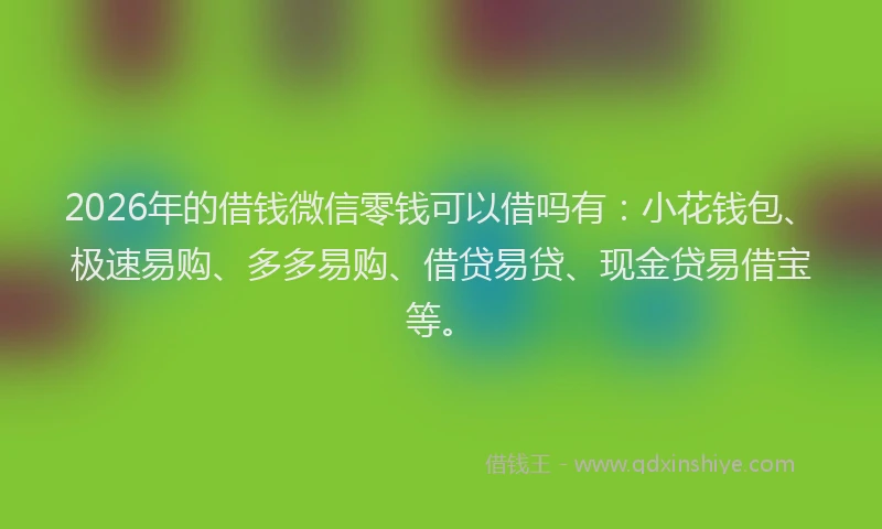 2026年的借钱微信零钱可以借吗有：小花钱包、极速易购、多多易购、借贷易贷、现金贷易借宝等。