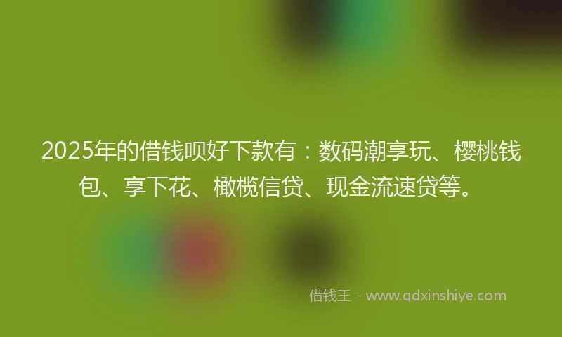 2025年的借钱呗好下款有：数码潮享玩、樱桃钱包、享下花、橄榄信贷、现金流速贷等。