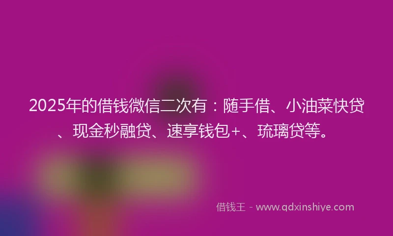 2025年的借钱微信二次有：随手借、小油菜快贷、现金秒融贷、速享钱包+、琉璃贷等。