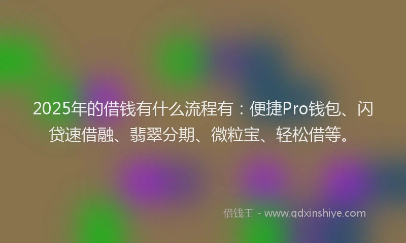 2025年的借钱有什么流程有：便捷Pro钱包、闪贷速借融、翡翠分期、微粒宝、轻松借等。