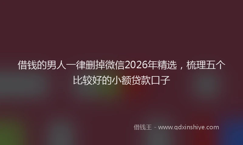 借钱的男人一律删掉微信2026年精选，梳理五个比较好的小额贷款口子