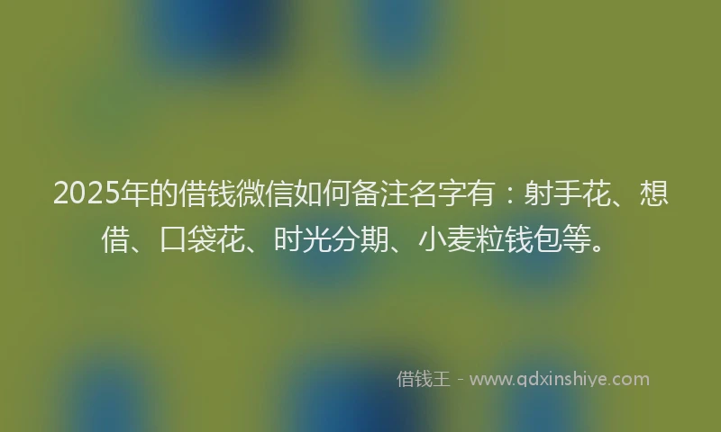 2025年的借钱微信如何备注名字有：射手花、想借、口袋花、时光分期、小麦粒钱包等。