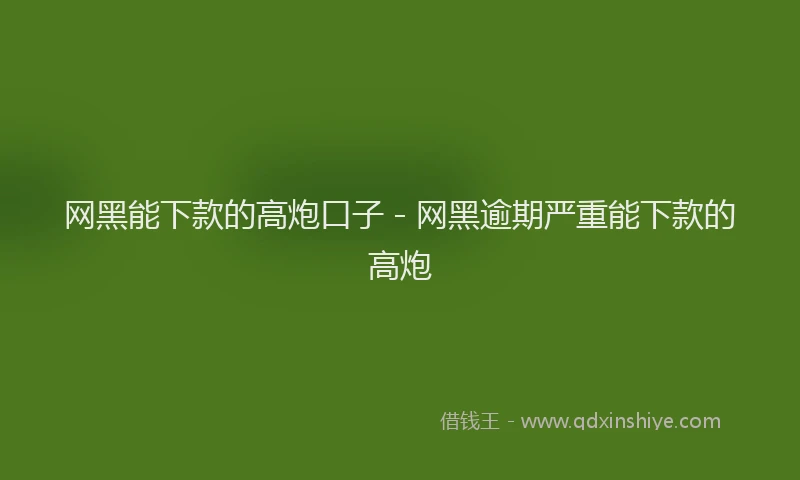 网黑能下款的高炮口子 - 网黑逾期严重能下款的高炮