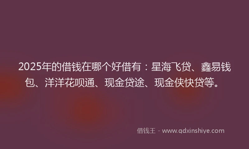 2025年的借钱在哪个好借有：星海飞贷、鑫易钱包、洋洋花呗通、现金贷途、现金侠快贷等。