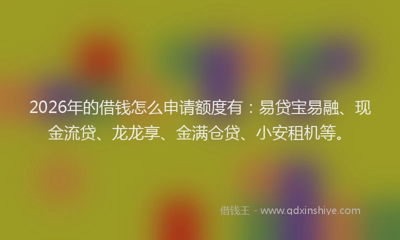 2026年的借钱怎么申请额度有:易贷宝易融、现金流贷、龙龙享、金满仓贷、小安租机等。