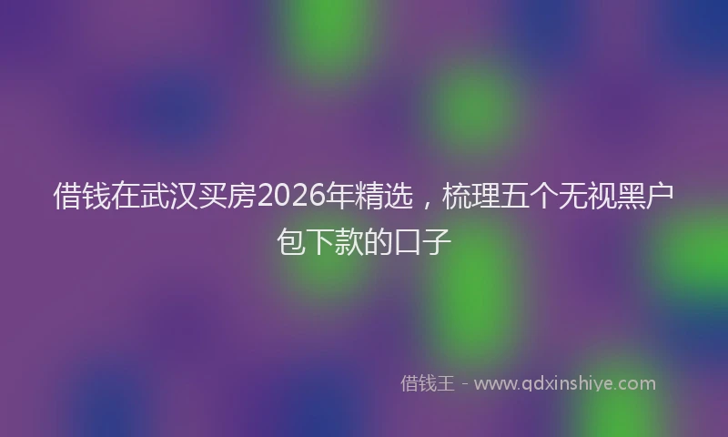 借钱在武汉买房2026年精选，梳理五个无视黑户包下款的口子