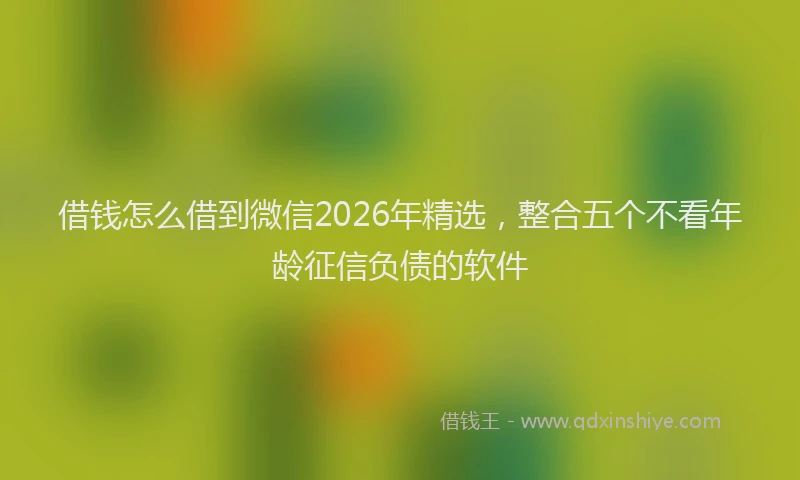 借钱怎么借到微信2026年精选，整合五个不看年龄征信负债的软件