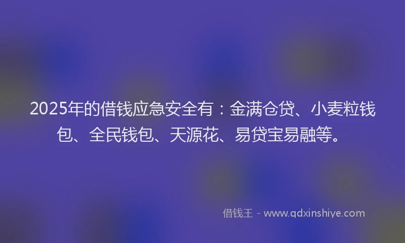 2025年的借钱应急安全有：金满仓贷、小麦粒钱包、全民钱包、天源花、易贷宝易融等。