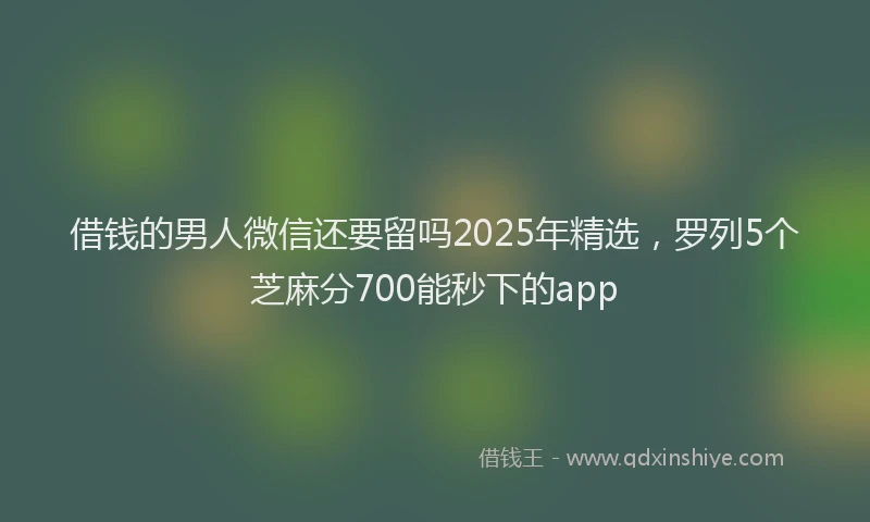 借钱的男人微信还要留吗2025年精选，罗列5个芝麻分700能秒下的app