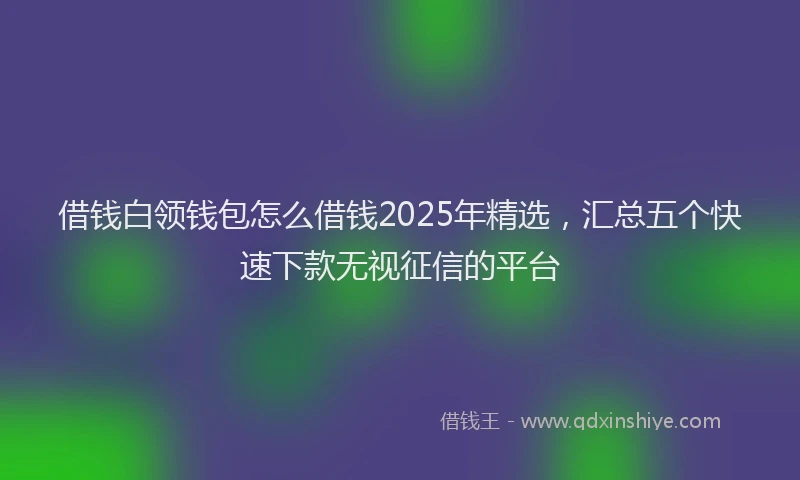 借钱白领钱包怎么借钱2025年精选，汇总五个快速下款无视征信的平台