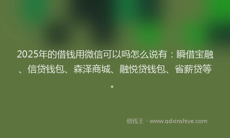 2025年的借钱用微信可以吗怎么说有：瞬借宝融、信贷钱包、森泽商城、融悦贷钱包、省薪贷等。