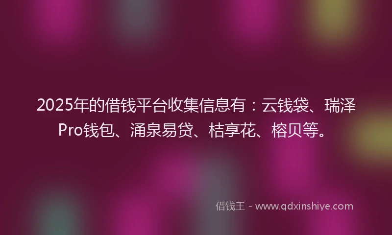 2025年的借钱平台收集信息有：云钱袋、瑞泽Pro钱包、涌泉易贷、桔享花、榕贝等。