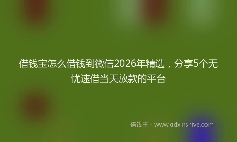 借钱宝怎么借钱到微信2026年精选,分享5个无忧速借当天放款的平台