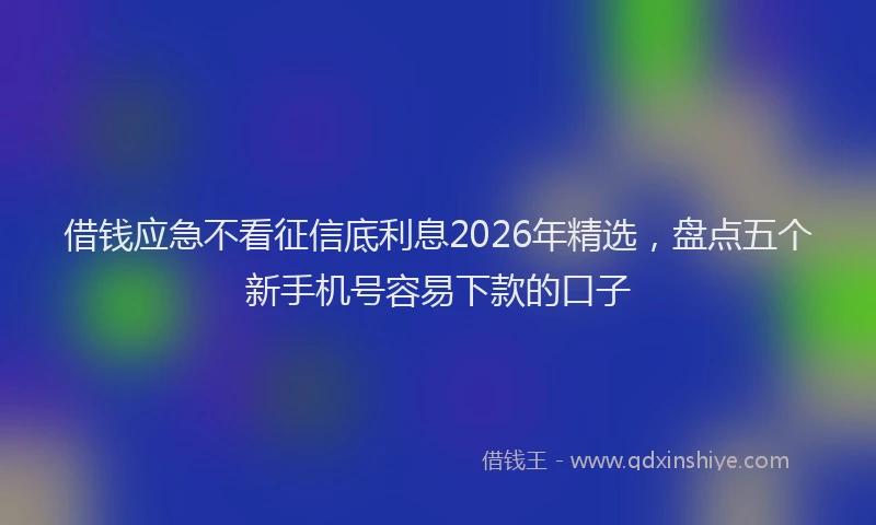 借钱应急不看征信底利息2026年精选，盘点五个新手机号容易下款的口子