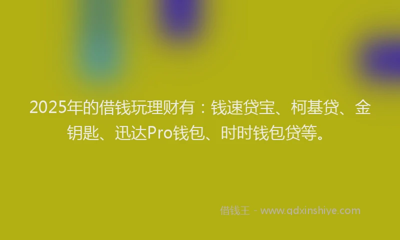 2025年的借钱玩理财有：钱速贷宝、柯基贷、金钥匙、迅达Pro钱包、时时钱包贷等。