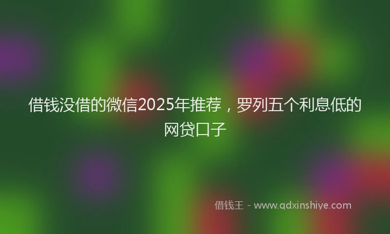 借钱没借的微信2025年推荐，罗列五个利息低的网贷口子