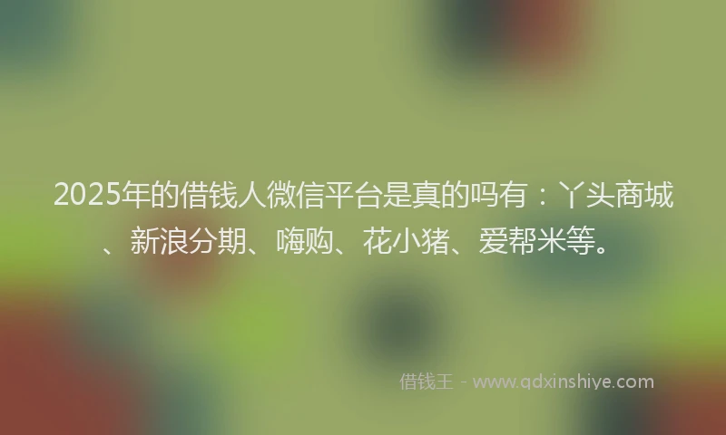2025年的借钱人微信平台是真的吗有：丫头商城、新浪分期、嗨购、花小猪、爱帮米等。