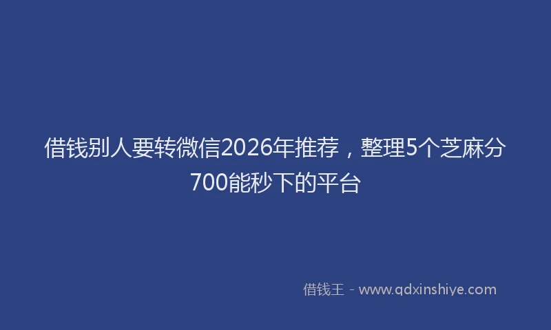 借钱别人要转微信2026年推荐，整理5个芝麻分700能秒下的平台