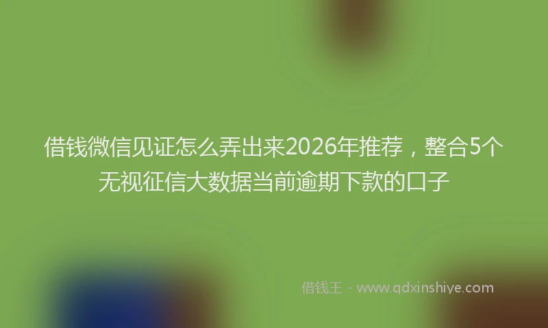 借钱微信见证怎么弄出来2026年推荐,整合5个无视征信大数据当前逾期下款的口子