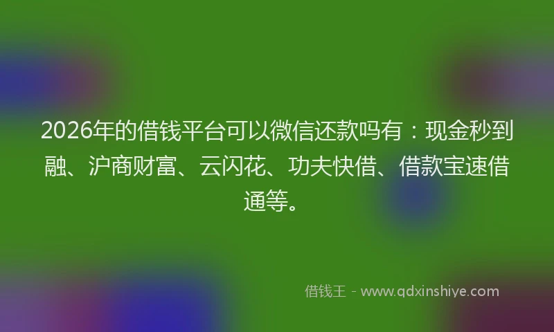 2026年的借钱平台可以微信还款吗有：现金秒到融、沪商财富、云闪花、功夫快借、借款宝速借通等。