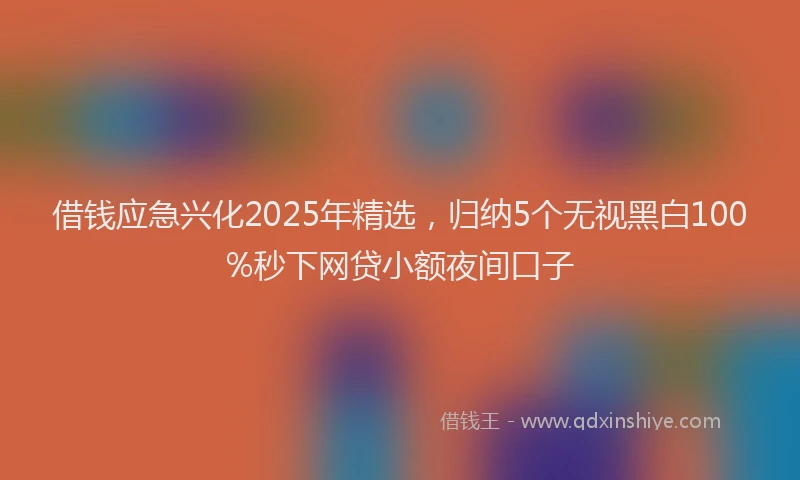 借钱应急兴化2025年精选,归纳5个无视黑白100%秒下网贷小额夜间口子