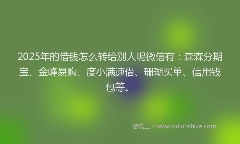 2025年的借钱怎么转给别人呢微信有：森森分期宝、金峰易购、度小满速借、珊瑚买单、信用钱包等。