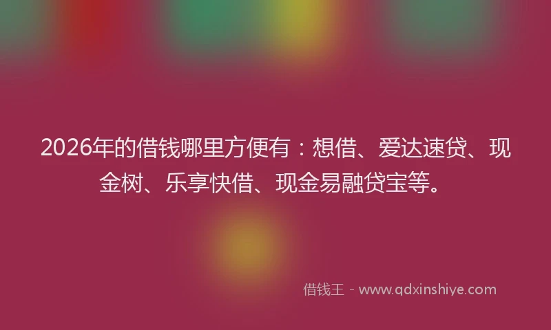 2026年的借钱哪里方便有：想借、爱达速贷、现金树、乐享快借、现金易融贷宝等。