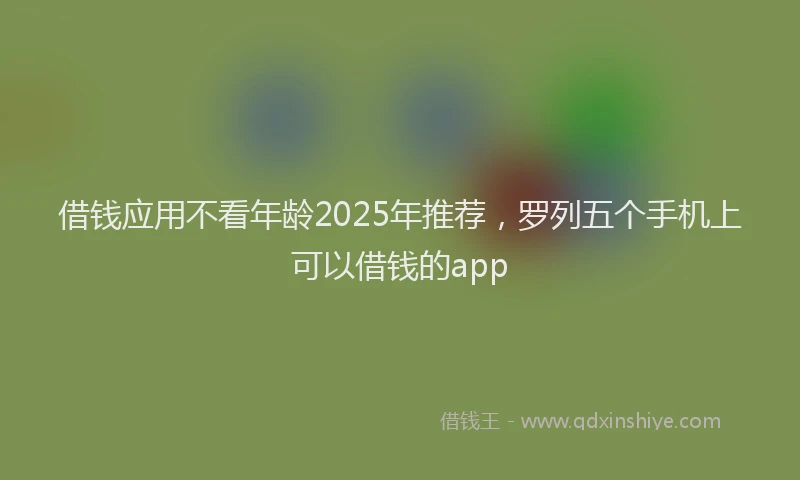 借钱应用不看年龄2025年推荐，罗列五个手机上可以借钱的app