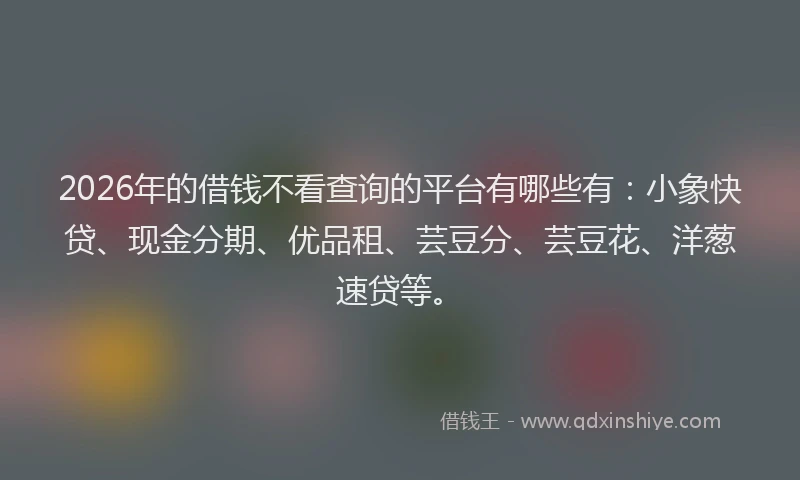 2026年的借钱不看查询的平台有哪些有：小象快贷、现金分期、优品租、芸豆分、芸豆花、洋葱速贷等。