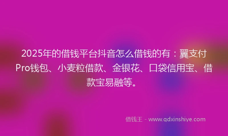 2025年的借钱平台抖音怎么借钱的有：翼支付Pro钱包、小麦粒借款、金银花、口袋信用宝、借款宝易融等。