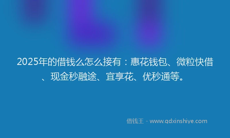 2025年的借钱么怎么接有:惠花钱包、微粒快借、现金秒融途、宜享花、优秒通等。