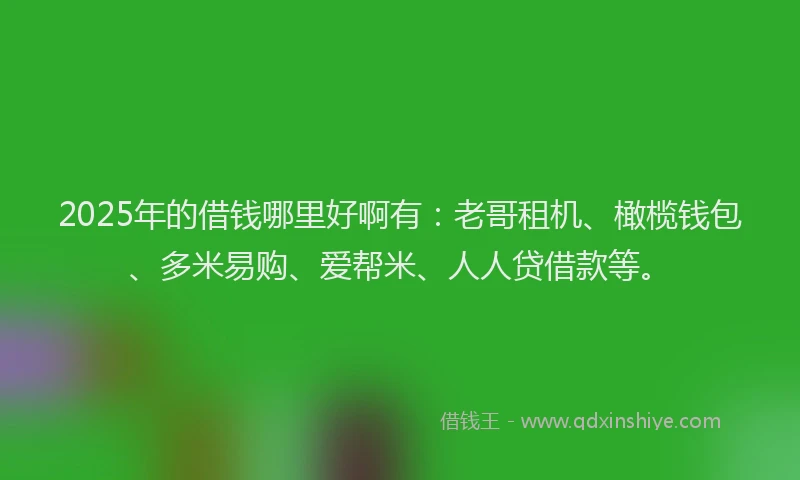2025年的借钱哪里好啊有：老哥租机、橄榄钱包、多米易购、爱帮米、人人贷借款等。