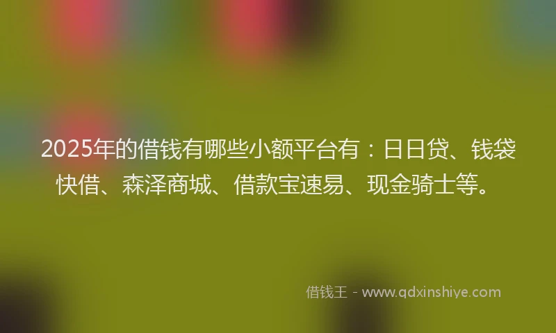 2025年的借钱有哪些小额平台有：日日贷、钱袋快借、森泽商城、借款宝速易、现金骑士等。