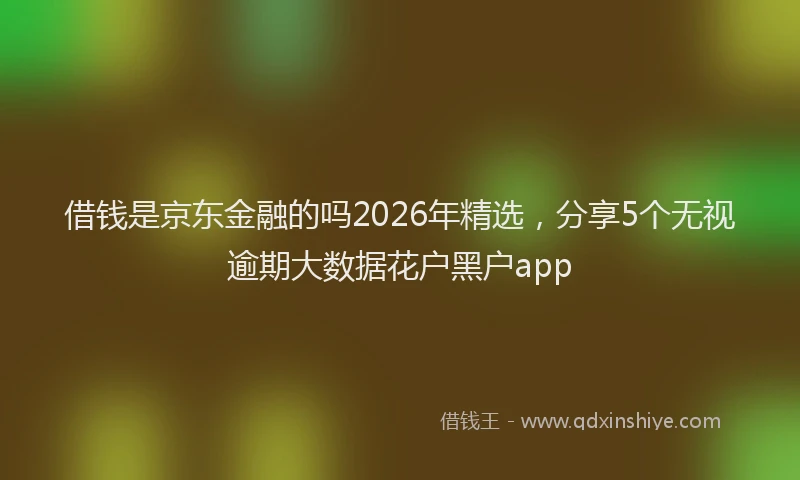 借钱是京东金融的吗2026年精选，分享5个无视逾期大数据花户黑户app