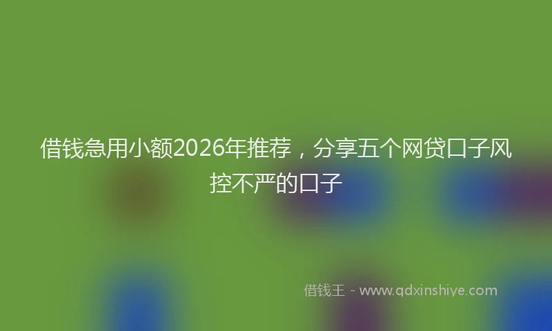 借钱急用小额2026年推荐，分享五个网贷口子风控不严的口子
